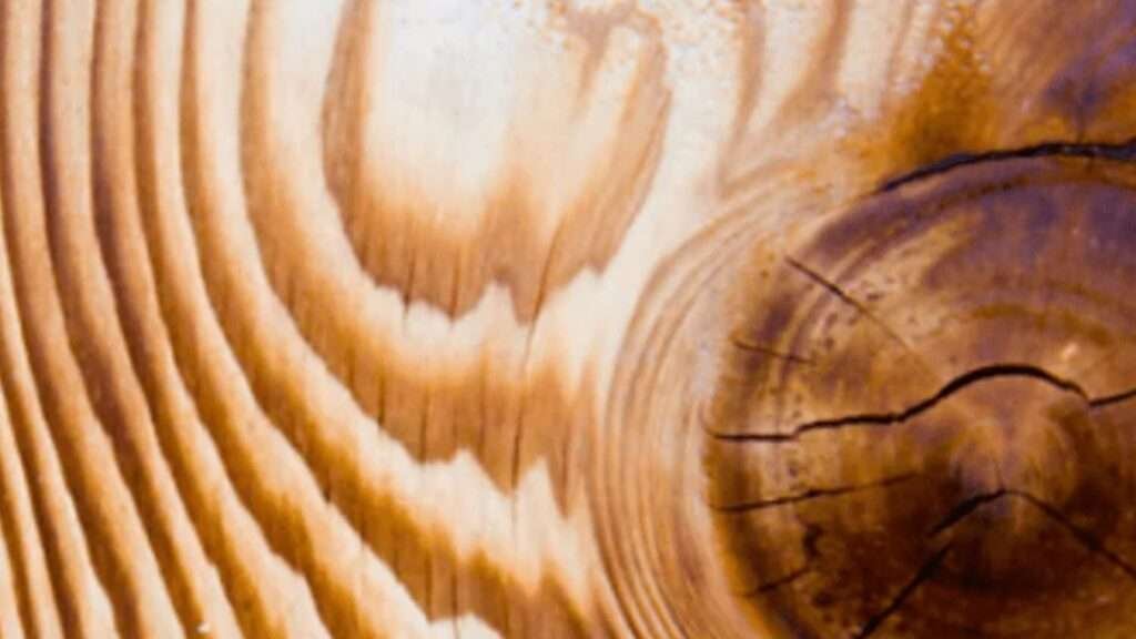 The Natural Beauty Of Wood Grain