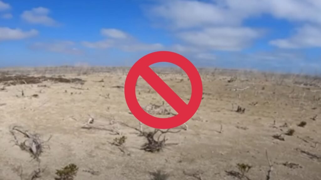 no trees left on earth